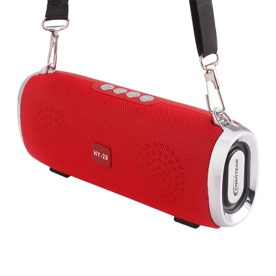 HY-29 Dual 5W Bluetooth Speaker